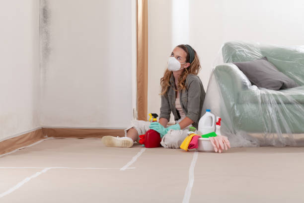 Reliable Mold Remediation contractor in Goldsboro, MD by 24 Hour Mold Removal